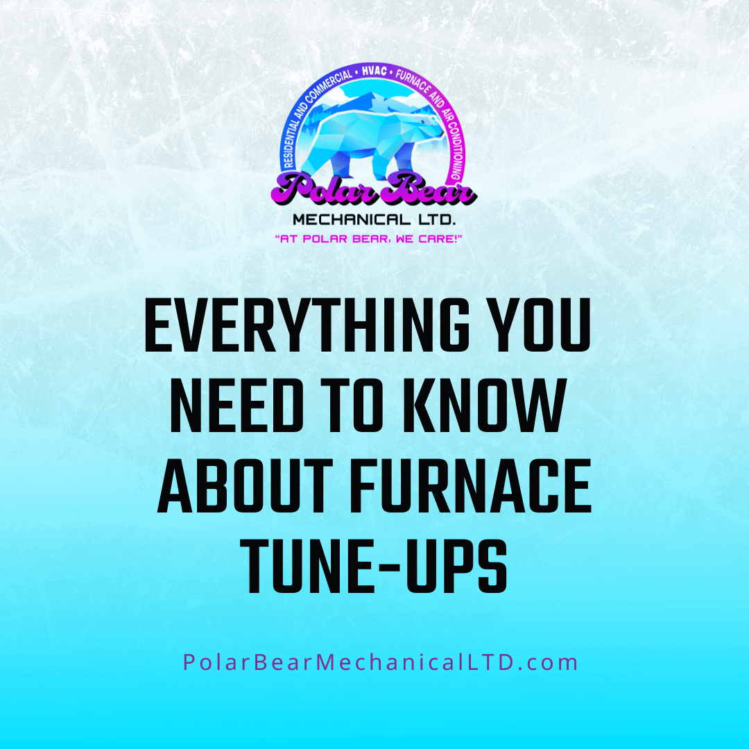 A graphic with an icy blue and white background and black words that says, "Everything You Need To Know About Furnace Tune-Ups."