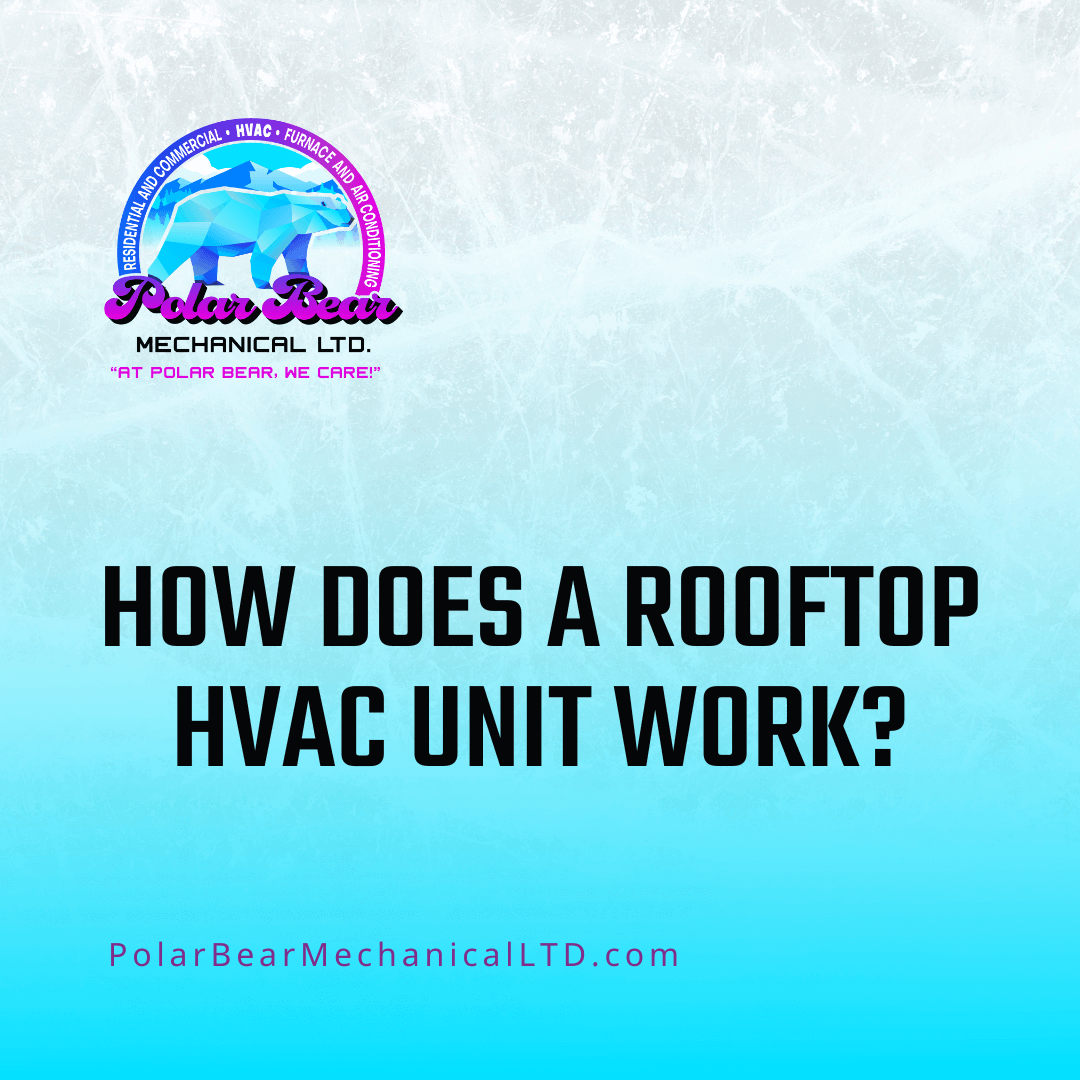 The graphic features an icy background with a blue and white overlay. In the center of the graphic is the title of the corresponding blog, which reads, "How Does a Rooftop HVAC Unit Work?"