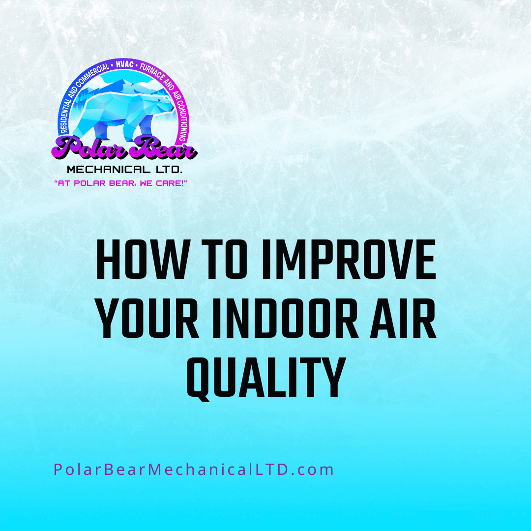 A picture of a blog image that reads, "How to Improve Your Indoor Air Quality".